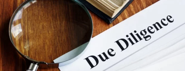 auditoria due deligence