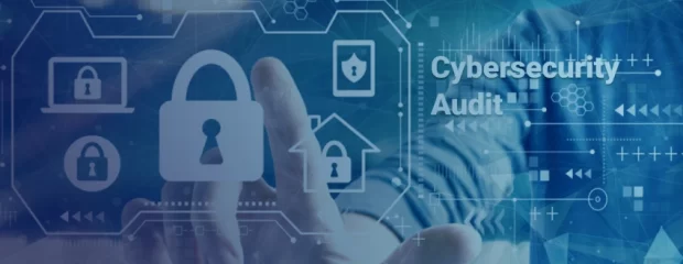 ciberseguridad-para-auditores-financieros